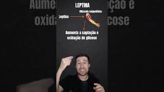 LEPTINA  FUNÇÕES  education [upl. by Assennev]