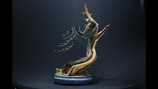 COMO COMEÇAR UM BONSAI DO ZERO  CALLIANDRA ESPINOSA [upl. by Lupee630]