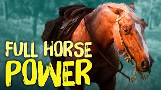 Red Dead Redemption 2 Horses  Everything You Need To Know [upl. by Lenor471]