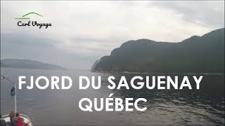 Croisière sur le Fjord du Saguenay  Québec [upl. by Asiul509]