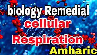 🔴Remedial BiologyCellular RespirationChapter three for remedial students part 6Ethiopia [upl. by Nylaj]