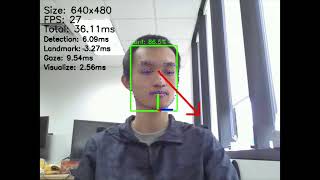 Gaze Estimation on Raspberry Pi 4 [upl. by Ecinna]