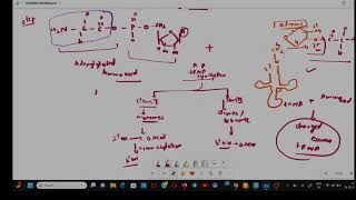 CHARGING OF tRNA  TRANSLATION [upl. by Bron]