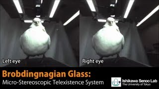 Brobdingnagian Glass A MicroStereoscopic Telexistence System [upl. by Ikey]