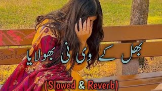 bhul ke v ni bhulya Saraike slowed and reverb song 🥰  new Saraike slowed and raverb song [upl. by Lyall]