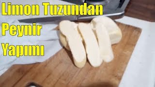 Evde Limon Tuzu ile Peynir Yapımı [upl. by Ytnom]