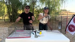 How to assemble a quail cage [upl. by Shae777]