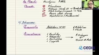 Farmacología Grupo 1  Quinolonas [upl. by Mei]