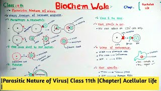 Parasitic Nature of Virus Class 11th Chapter Acellular life [upl. by Harts]