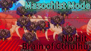 Brain of Cthulhu No Hit Terraria Fargos Masochist Mode [upl. by Allrud728]