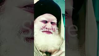 aulad e gaus e pak Muhtaram Shah Qadri Jilanilove shortsfeed shortsfeeds [upl. by Lucais967]