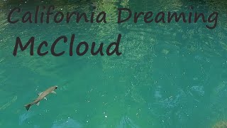 California Dreaming McCloud [upl. by Schindler]