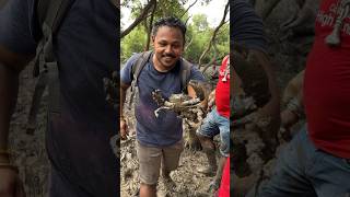 Dangerous Crab Bite reels seafood fish comedy sagarpatil728 ￼ [upl. by Heer]