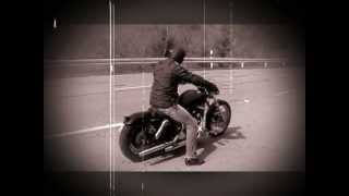 Harley Davidson Dyna Low Rider [upl. by Gareri]