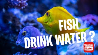 Do Fish Really Drink Water The Truth Revealed [upl. by Felicidad523]