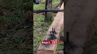 Begol 2 shortsvideo [upl. by Aletta]