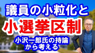 【議員の小粒化と小選挙区制の弊害】 [upl. by Tezil]