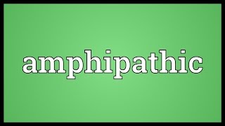 Amphipathic Meaning [upl. by Abbottson]