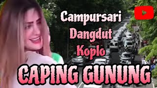 VLOG CAMPURSARI CAPING GUNUNG PELOG MODERN NYAMLENG SragentinoChannel [upl. by Catlaina]