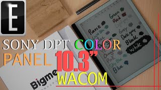 Sony DPT COLOR 103quot Kaleido 2 Panel In Studio Review  Bigme B1 Pro Plus [upl. by Nama]