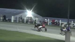 2024 Midwestern Classic 3yo Filly Trot 1st Heat MR Itscheapertokeepher wins in 113 [upl. by Akimyt]