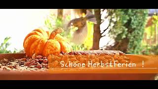 Schöne Herbstferien [upl. by Egedan]