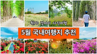 원PD 걸어서 사진여행  5월국내여행 5월국내여행지추천 [upl. by Kincaid]