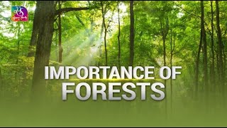 Sansad TV Vishesh Importance of Forests  25 April 2024 [upl. by Hsetim134]