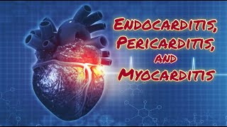 Endocarditis Pericarditis and Myocarditis  CRASH Medical Review Series [upl. by Lillith]