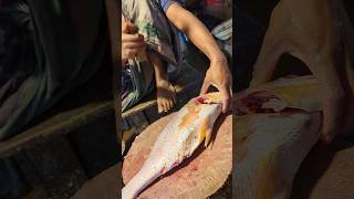 Amazing Koral Fish Cutting Skills In Bangladesh Fish Market By Expert Cutter shorts [upl. by Pollard]