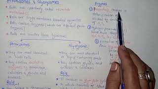 Peroxisomes  Glyoxysome  Federal amp KPK Board  Class 11 Biology [upl. by Llerrehc]