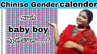 Chinise calender gender pridiction  నాకు baby boy పుట్టబోతున్నాడా  Lillyliavlogs 👩‍❤️‍👩 [upl. by Tahp]