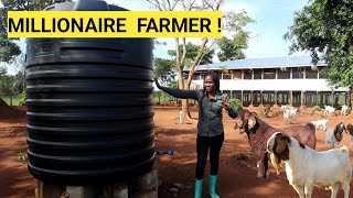 All You Need To Start A Simple GOAT Farm Business DETAILED Plan Farm Routine [upl. by Benjie751]