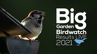 Big Garden Birdwatch Results – Live [upl. by Judi861]