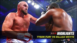 Tyson Fury vs Dillian Whyte Full Fight Highlights  Tyson Fury vs Dillian Whyte Highlights [upl. by Enomys]