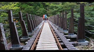 屋久島縄文杉トレッキング Trekking in Yakushima Jomonsugi [upl. by Py179]