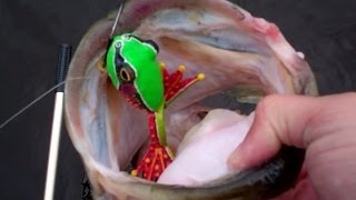 Top Water Frog Bass Fishing with Custom Painted Frogs by Capt Ken [upl. by Howe303]