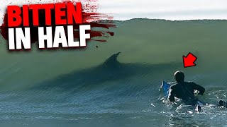 This Surfer Gets Bitten in Half by BIGGEST Shark Ever Recorded [upl. by Dahsraf]