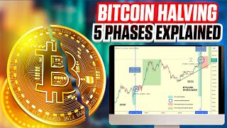 5 Phases of the Bitcoin Halving  Ultimate Guide For 2024 [upl. by Ailiec]