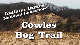 Indiana Dunes National Park  Cowles Bog Hike [upl. by Brannon]