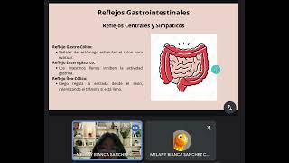 REFLEJO GASTROINTESTINALES CONTROL HUMORAL TIPOS MOV INTESTINAL [upl. by Trent]