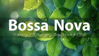 Chill Bossa Nova Music for Relaxation amp Focus  Best Smooth Bossa Nova Playlist 2 [upl. by Clabo]