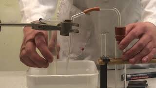 Using catalysts in reactions of metals and acids 8ga2 Periodic Table lesson 7 [upl. by Ressler]