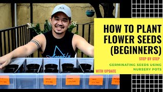 How to Plant Flower Seeds Using Nursery Pots StepbyStep  Beginners Episode 1 [upl. by Lynnea]