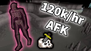 Ankou Wilderness Slayer Task  120khr  Afk  No mic🎤❌ [upl. by Skrap]