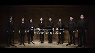 Sonority O magnum mysterium  Tomás Luis de Victoria [upl. by Luehrmann]