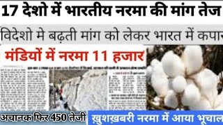 29 अक्टूबर 2024 नरमा कपास का भाव cotton bhav today कपास में तेजी बरकरार narma kapas ka bhav [upl. by Atsok953]