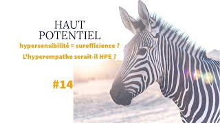 HAUT POTENTIEL 14 Hypersensibilité  surefficience  Le profil HPE seraitil un hyperempathe [upl. by Thaxter731]