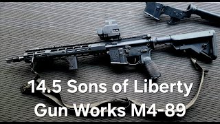 145 Sons of Liberty Gun Works M489 Build [upl. by Nospmis]