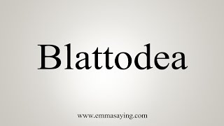 How To Say Blattodea [upl. by Airliah]